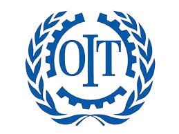 Organisation Internationale du Travail